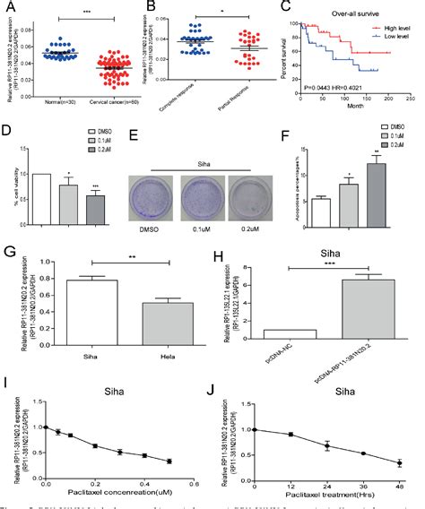 Figure From Paclitaxel Inhibits The Progression Of Cervical Cancer By