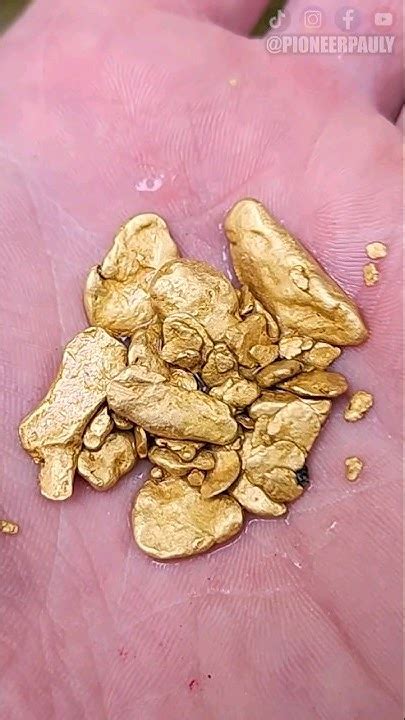 Diver Finds 3500 Of Gold Nuggets In Bedrock Crack Youtube