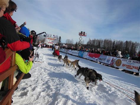 Alaska Dog Sledding Tours | Dogsledding in Alaska