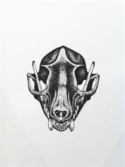 Fruit Bat Face Drawing