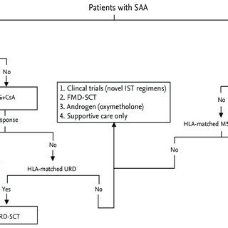 Treatment Algorithm Based On Recent Reports For The Management Of