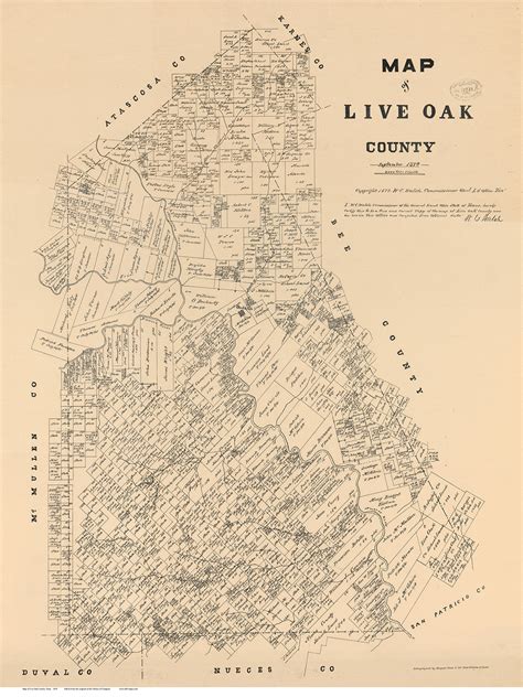 Live Oak County Texas 1879 Old Map Reprint Old Maps