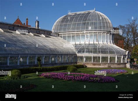 The Palm House And Spring Flowers In The Botanic Gardens Belfast