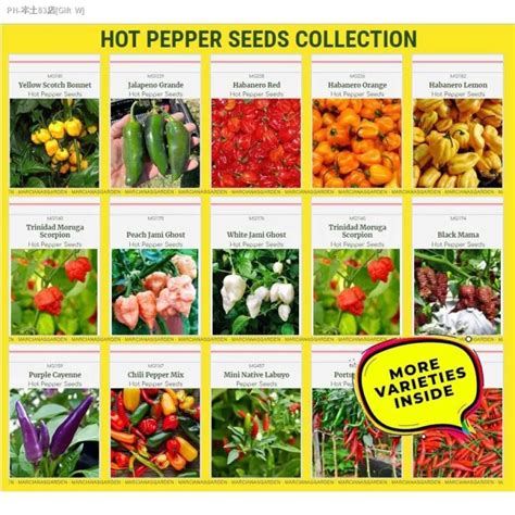 Hot Pepper Seeds Collection - Chili Pepper Seeds - Siling Labuyo ...