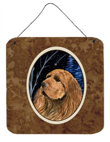 Carolines Treasures Ss8391ds66 Starry Night Sussex Spaniel Wall Or Door Hanging 6hx6w Ralphs