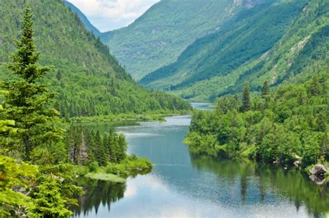 Environnement Se réconcilier avec la nature le contrat Le journal