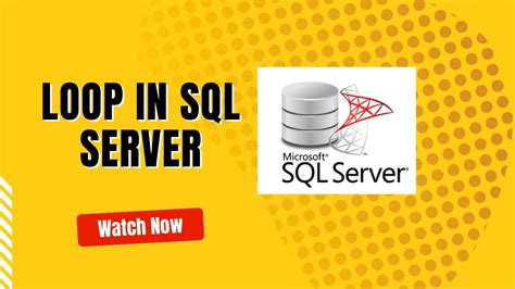 Sql Loop Loop In Sql Server While Loop In Sql How To Use Loop In