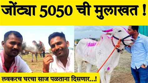 जोंट्या 5050 ची मुलाखत लवकरच जोंट्या आणि मोठा सोन्या एकत्र पळणार