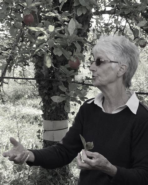 Apples and Saints* - The Camont Journals with Kate Hill