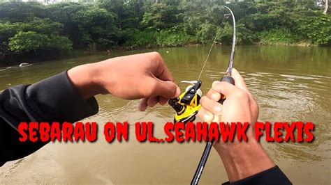 Memburu Sebarau Mengunakan Set UL Rod Seahawk Flexis Reel Daiwa Sea Ltd