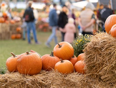 Pennsylvania Shines With One Of The Nations Best Fall Festivals