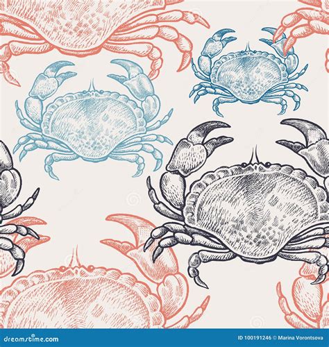 Seamless Pattern With Crabs Stock Vector Illustration Of Packing