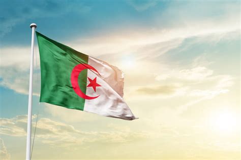 TotalEnergies And SONATRACH Sign MoU