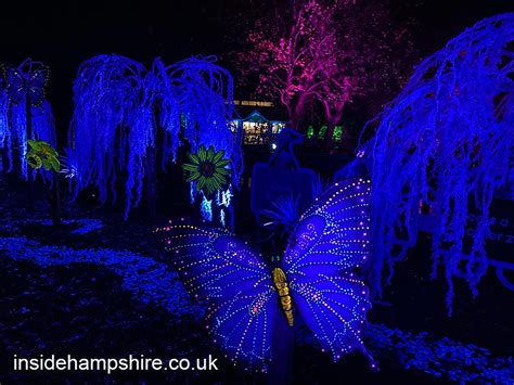 Photos of Glow Marwell 2022 | insidehampshire