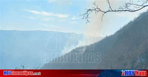 Hoy Tamaulipas Incendio En Tamaulipas Incendios Forestales En Jaumave