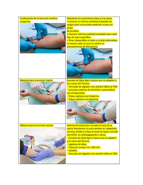 Hematologia Material De Repaso Fundamento De La Toma De Muestra