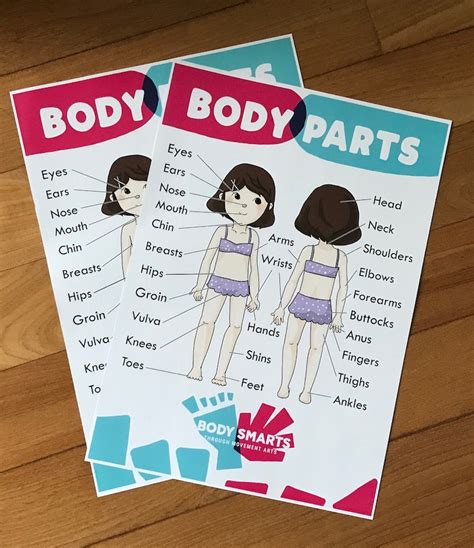 Body Parts Anatomy Sex Ed Private Parts Poster Printables Female Double Side Etsy Uk