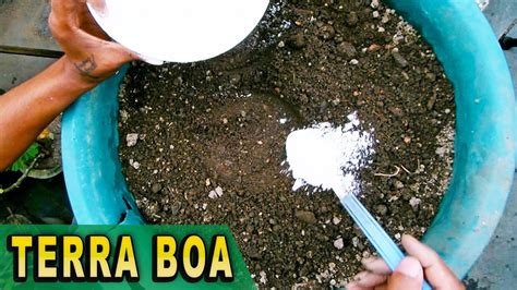 Como Reaproveitar Terra Dos Vasos Simples E Eficiente YouTube