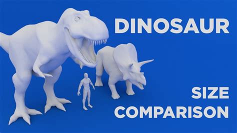 dinosaur size comparison human  dinosaur youtube