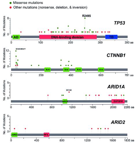 Distribution Of Somatic Mutations In Frequently Mutated Genes In