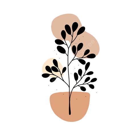 Aesthetic Line Art White Transparent Line Art Aesthetic Plants Plant