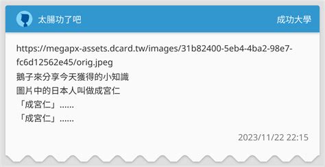 太腸功了吧 成功大學板 Dcard