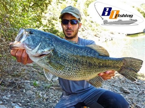 Bass Fishing In Spain ¡top Bo Fishing Guide