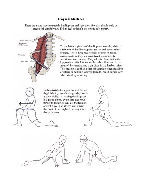 Iliopsoas Stretches Pdf Docslib