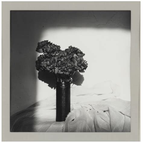 Robert Mapplethorpe Flower Images Best Flower Site