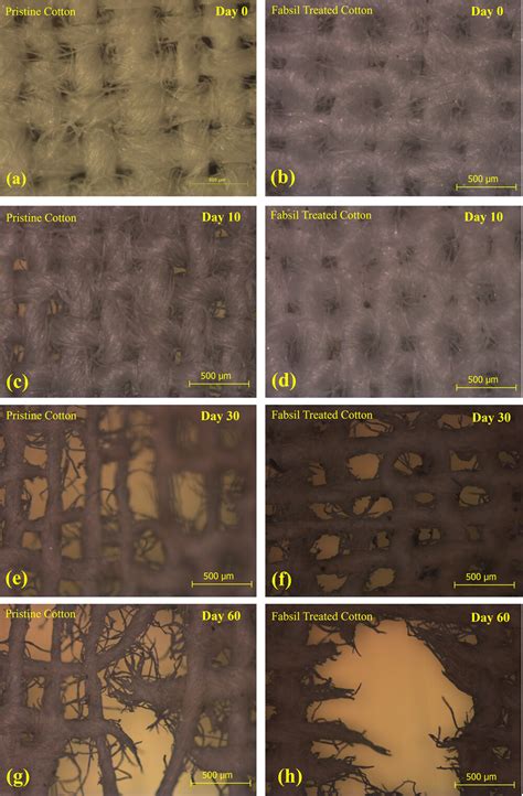 Eco Friendly Textile Based Wearable Humidity Sensor With Multinode