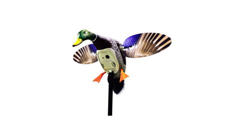 Best Motion Duck Decoys of 2020 – Ultimate Round-up