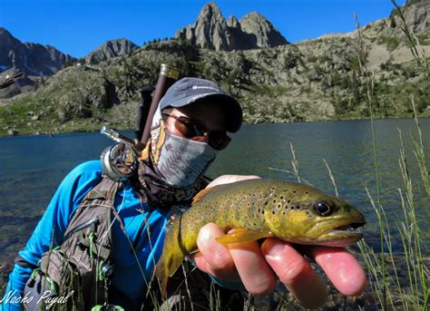 8 Best Trout Fishing Rivers In Spain Flyfishingspain