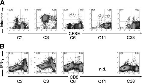 Proliferation of HCV specific CD8 ϩ T cells A PBMCs from several