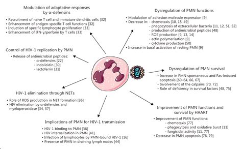 Interactions Between Human Immunodeficiency Virus Type And