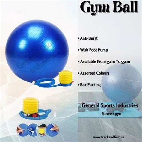 Anti Burst Gym Ball Yoga Ball Exercise Gym Ball At Rs 350 Piece