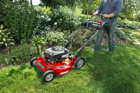 8 Best Snapper Lawn Mower In 2023 (Review & Ultimate Guide)