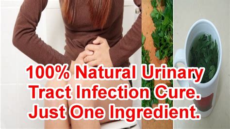 100 Natural Urinary Tract Infection Cure Just One Ingredient Youtube