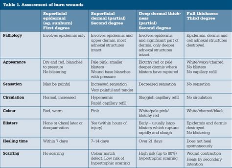 Table 1 From Thermal Burns Assessment And Acute Management In The General Practice Setting