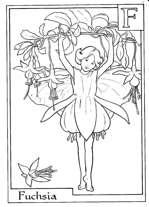 Fairy alphabet coloring pages download and print for free