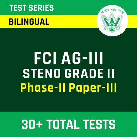 Fci Ag Iii Steno Grade Ii Phase Ii Paper Iii Complete