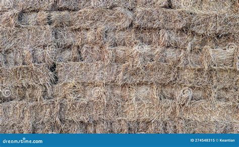 The Background Surface Of The Wall Is Piled Up Rice Straw Briquettes