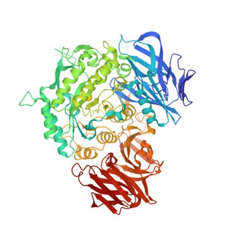 Rcsb Pdb Exf Crystal Structure Of Wild Type From Arabidopsis