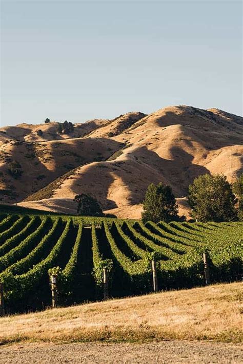 What's so special about Cloudy Bay? | New Zealand Wine