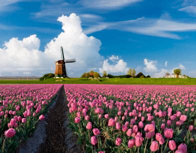 Netherlands Travel Guide