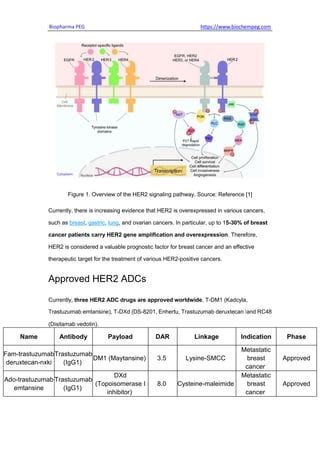 Summary Of Approved HER2 ADCs On The Market In Clinical Trials Pdf