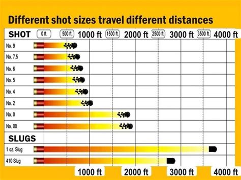 Basic of Shotgun Shooting