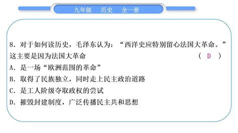 人教版九年级历史上第6单元资本主义制度的初步确立小专题一 资本主义的兴起和发展习题课件 教习网课件下载