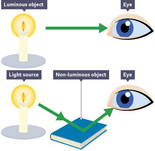 Ray Diagrams And Transmission Of Light Guide For Ks Physics Students