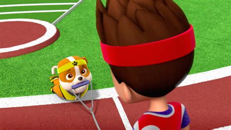 Rydergallerypups Save Sports Day Paw Patrol Wiki Fandom